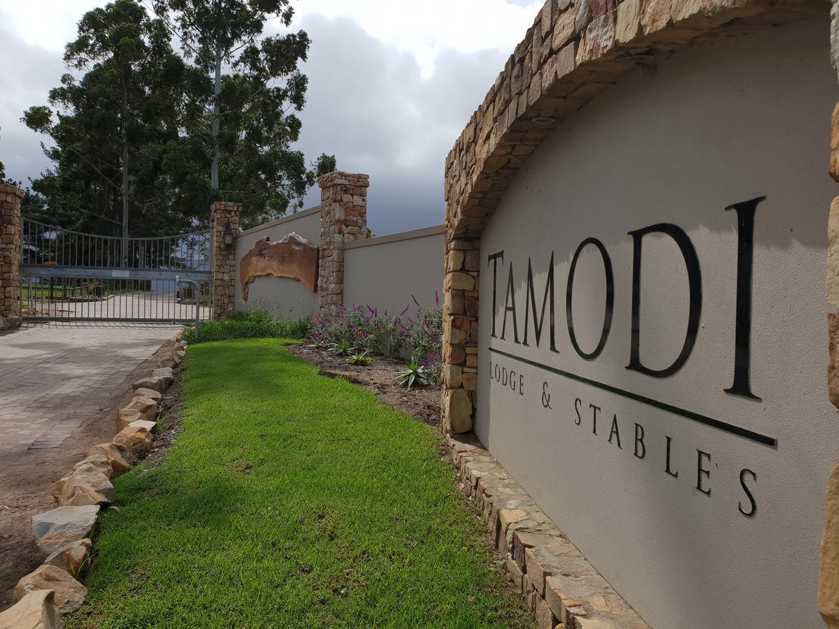 Tamodi Lodge Plettenberg Bay Luaran gambar